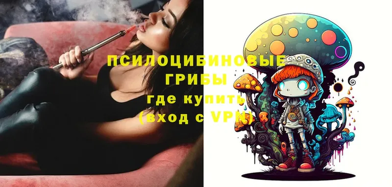 Псилоцибиновые грибы Psilocybe  площадка как зайти  Камышлов 